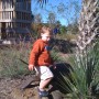 Naples Botanical Garden