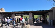sonoran desert museum
