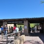 sonoran desert museum