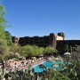 loews ventana canyon