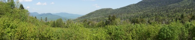 family travel reviews - white mountains