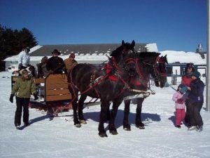 Snow Ridge Winterfest