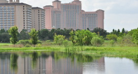 JW Marriott Orlando