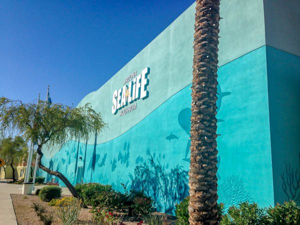 Review of the SEA LIFE Aquarium Arizona in Phoenix, AZ