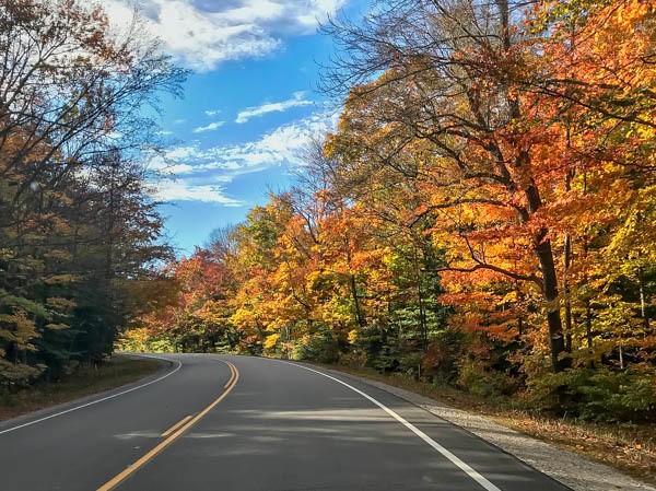 Foliage in the White Mountains in New Hampshire