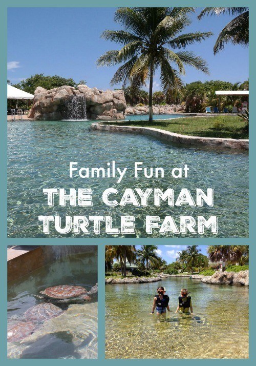 Review of the Cayman Turtle Farm