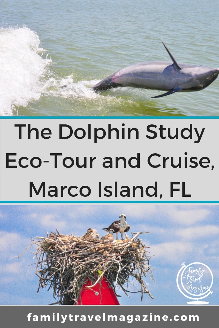 A review of the Dolphin Study Eco-Tour and Cruise in Marco Island, the only Florida activity listed in the book 100 Places That Can Change Your Child's Life