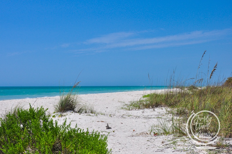 Island visit on the Dolphin Tour in Marco Island