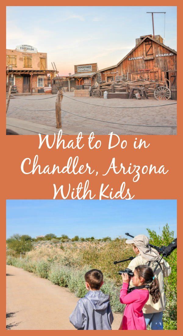 Things to do with your family in Chandler, AZ including restaurants, shopping, nature exploration, visiting downtown, and more!