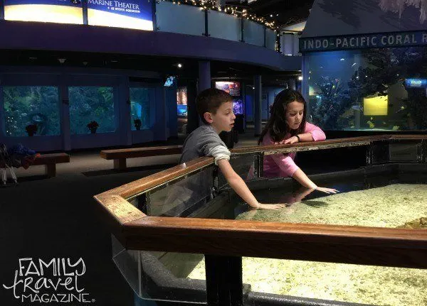 Mystic Aquarium Touch Tank