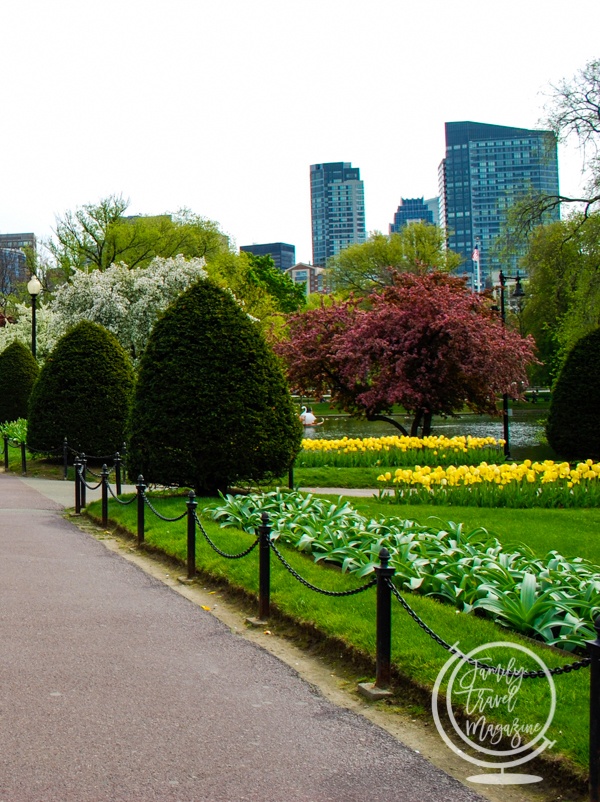 The Boston Public Garden
