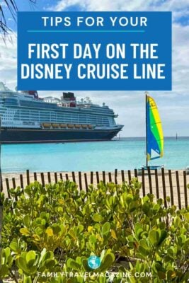 Disney ship docked at Castaway Cay with plants and fence in foreground