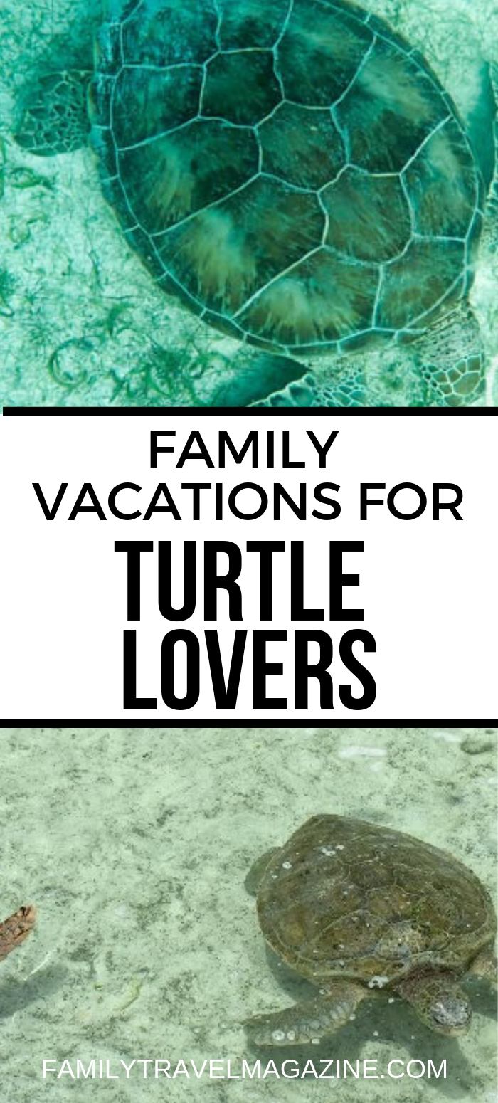 Do you have a turtle lover in your family? Here are some family vacations for turtle lovers, including locations in the US, Mexico, and the Caribbean. 
