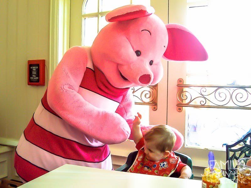 What to Bring to Walt Disney World
