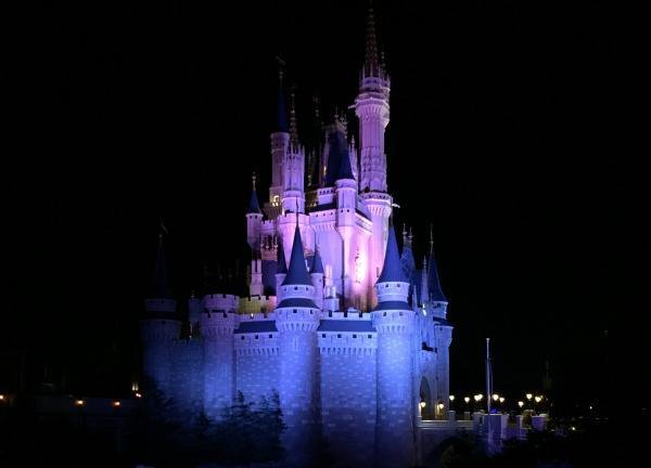 Cinderella Castle at night