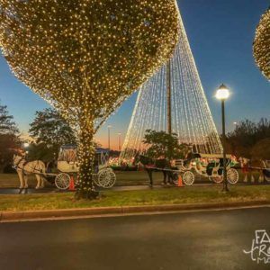 The Gaylord Opryland Hotel Christmas Events - a Country Christmas, including ICE!, carriage rides, Breakfast with the Grinch, and more.