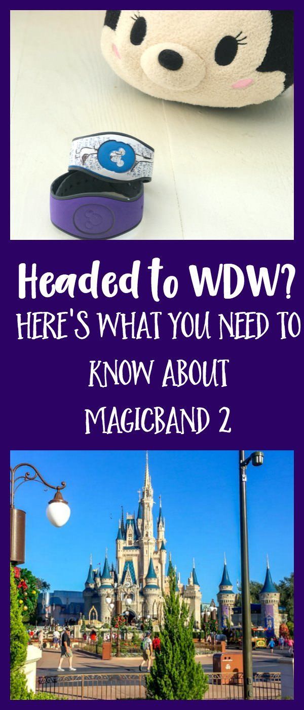 Everything You Need to Know About the New MagicBand 2, including accessories, decals to purchase, and functionality.