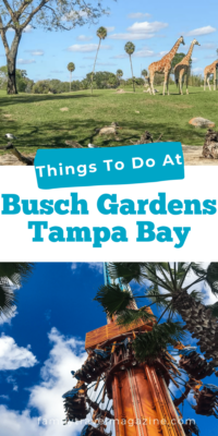 Making the most of a day at Busch Gardens Tampa Bay, including rides, animal interactions, food, and more. 