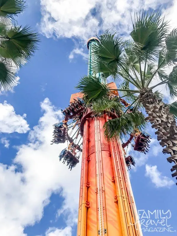 Thrill rides at Busch Gardens Tampa Bay