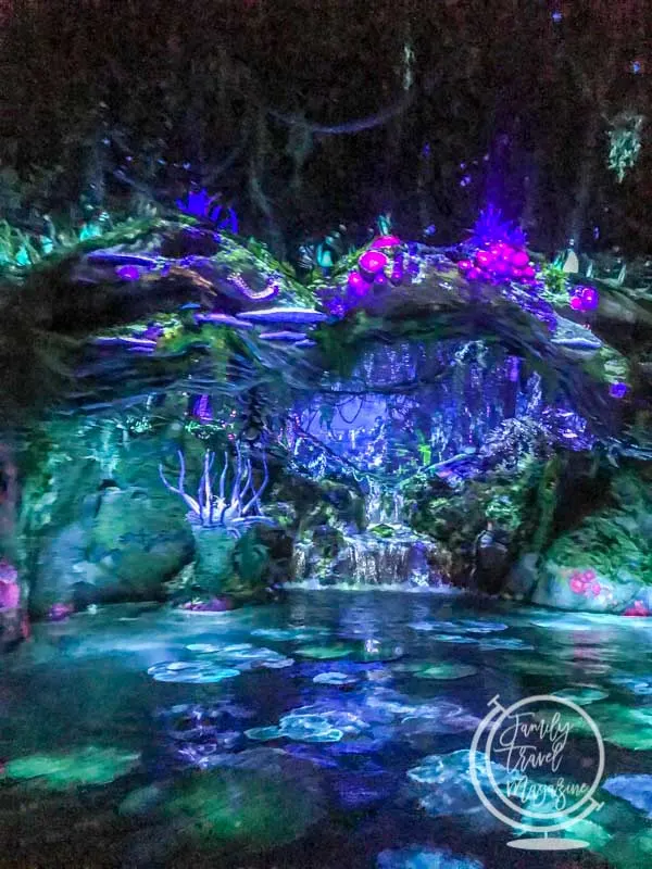 navi river at Disney's Animal Kingdom