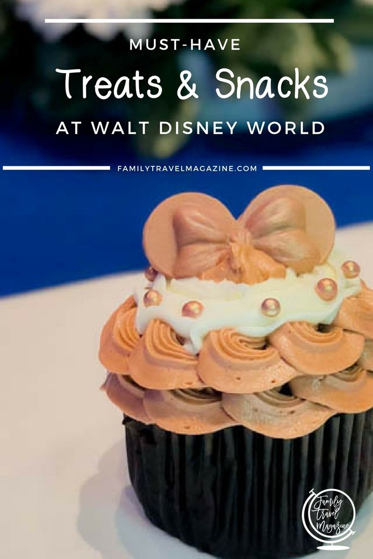 Must-Have Treats and Snacks at Walt Disney World, Including Dole Whips, Zebra Domes, Mickey Bars, and Beignets. 