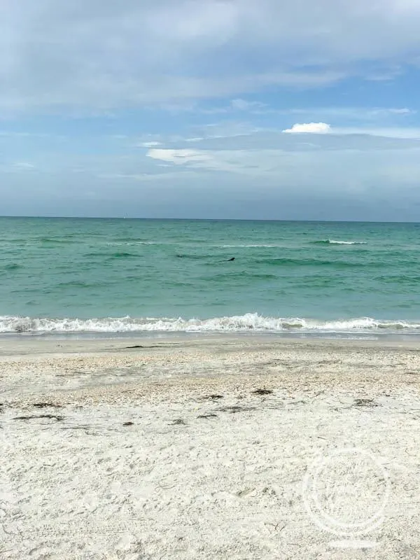 The beach at the resort at Long Boat Key Club