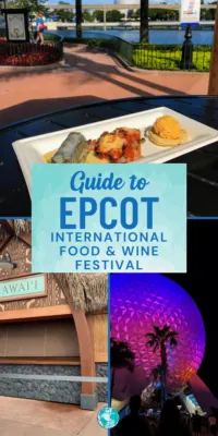 Plate with grape leaves and dip, Epcot's Spaceship Earth at night, and closed Hawaii booth.
