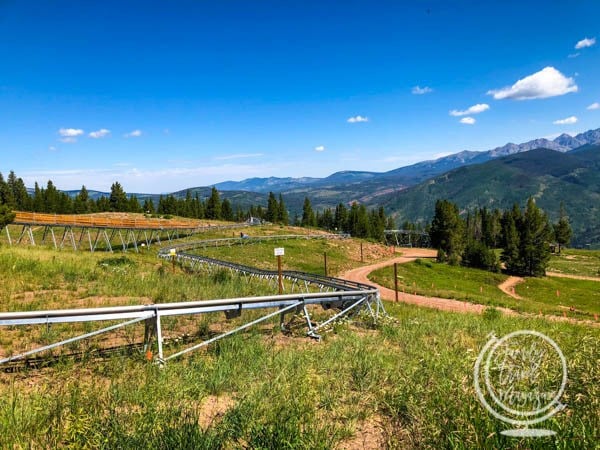 Forest Flyer Mountain Coaster