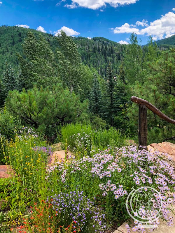 Betty Ford Gardens with trees, mountains, and wildflowers