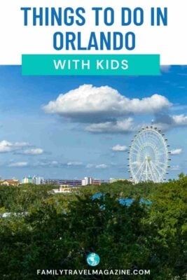 Landscape of Orlando with the Wheel at ICON park