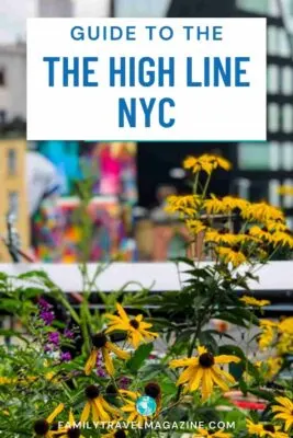 Yellow flowers on the High Line with buildings in the background