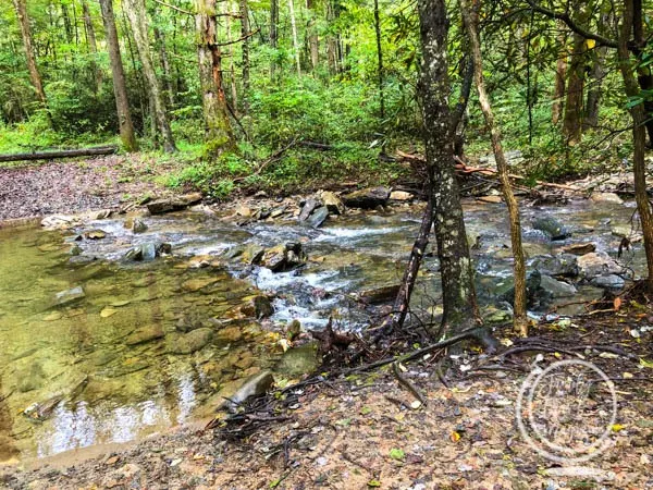 National forest hike in North Carolina