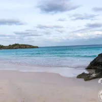 Horseshoe beach in Bermuda with light pink/tan sand and blue water