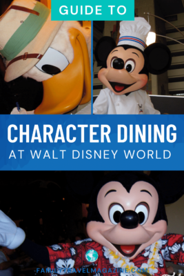 Donald in safari gear, Mickey in chef great, Mickey in Hawaiian shirt