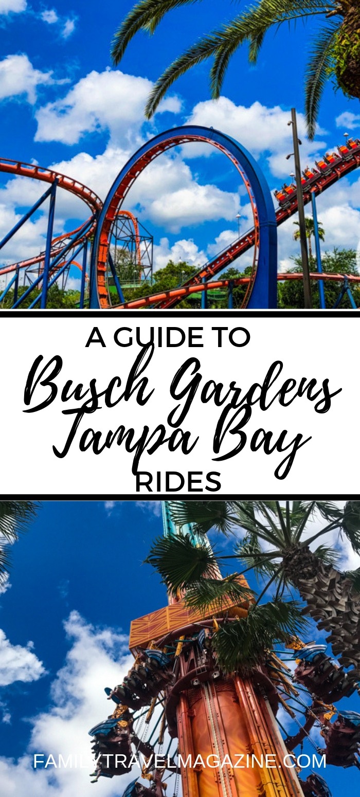 A Guide to Busch  Gardens  Tampa  Rides  Family Travel Magazine