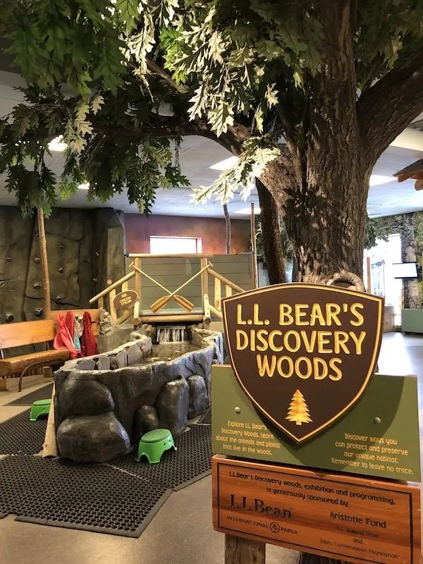 LL Bear Discovery Woods in the Portland Children's Museum