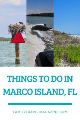 Things to do in Marco Island with kids including the dolphin eco-tour, shelling, and more. 