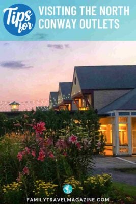 landscape display with flowers outside of outlets at sunset