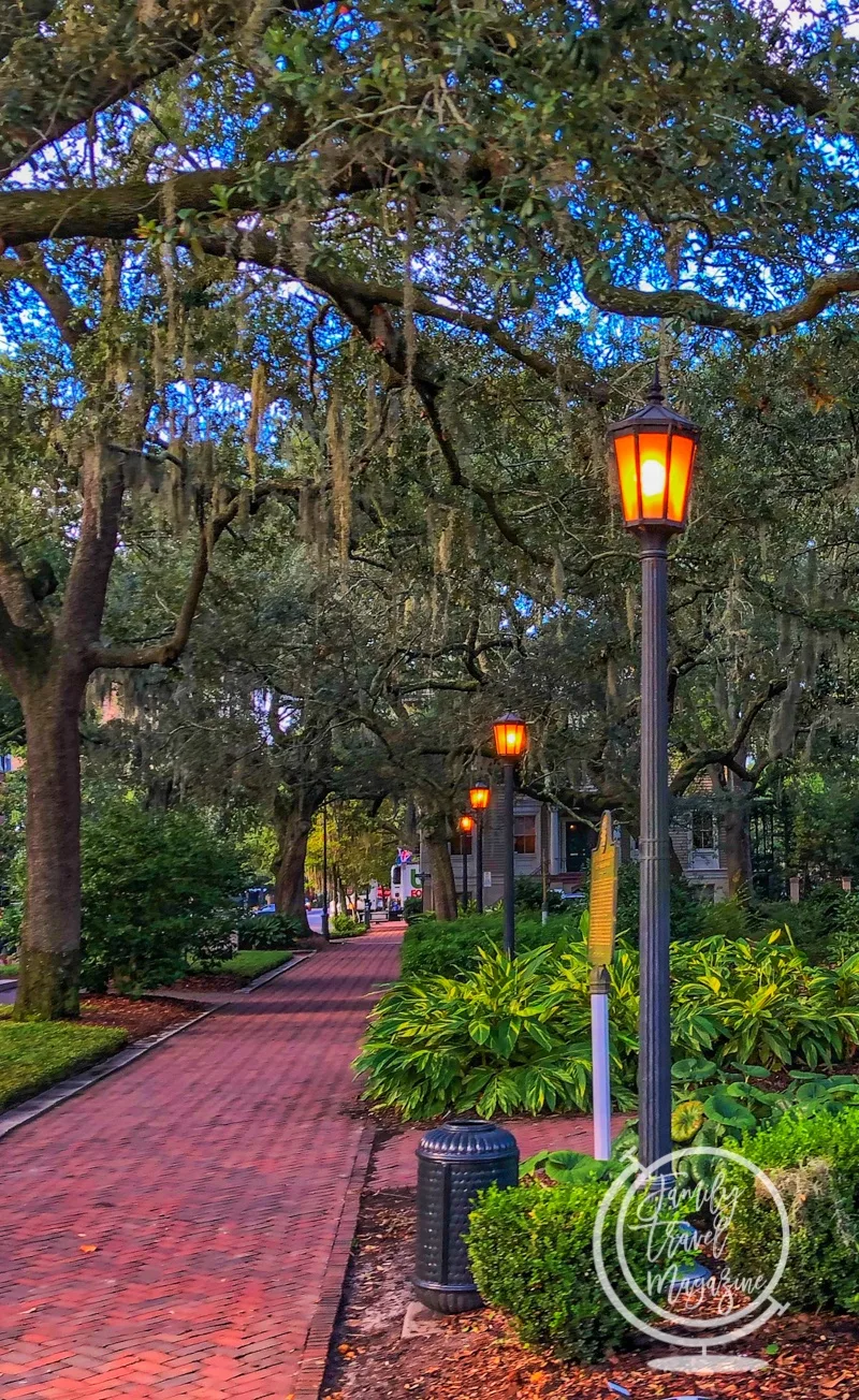 Tree lined street in Savannah