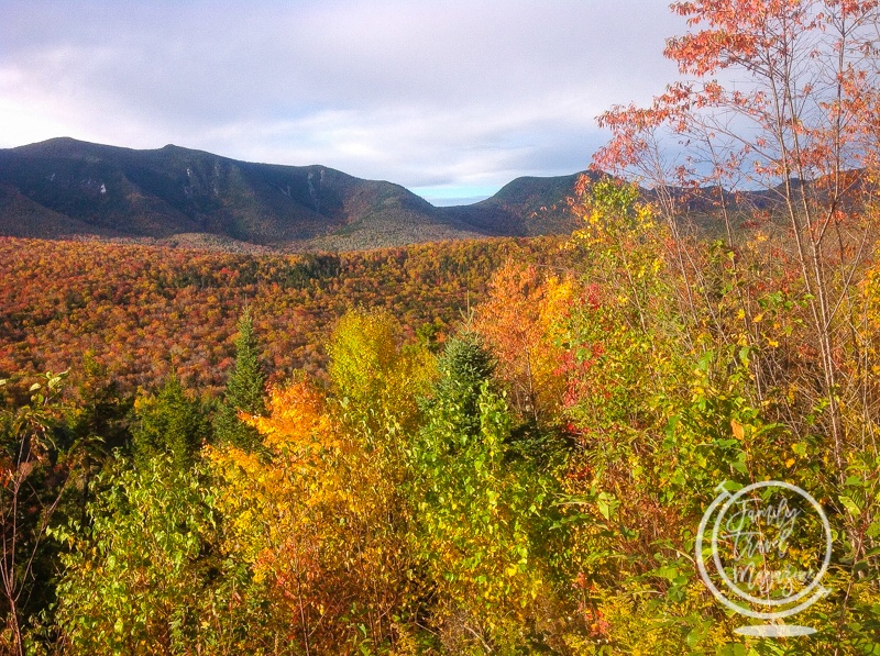 Fall foliage in the White Mountains