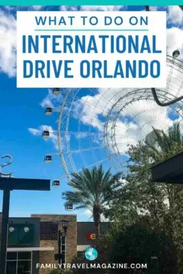 Orlando ICON wheel with trees in foreground