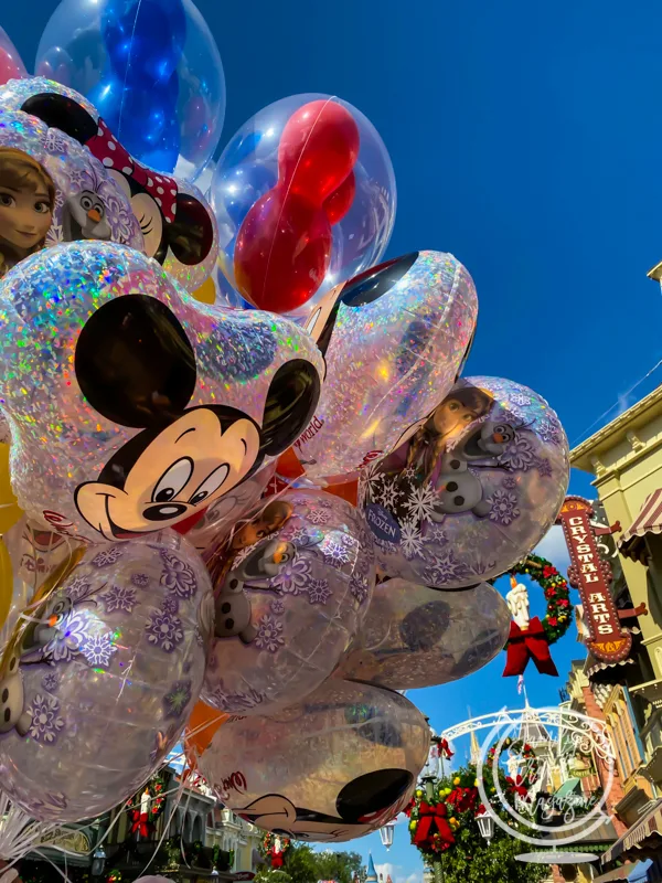 Magic Kingdom Balloons