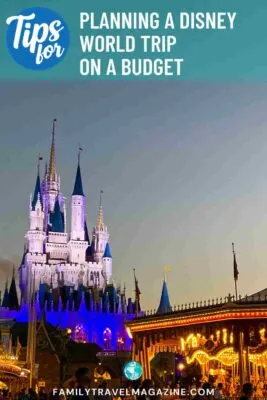 Cinderella Castle at night with merry go round in the corner