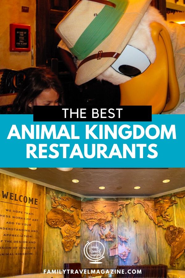 The best Animal Kingdom restaurants, including signature restaurants, table service restaurants, quick service restaurants, and snack stands. 
