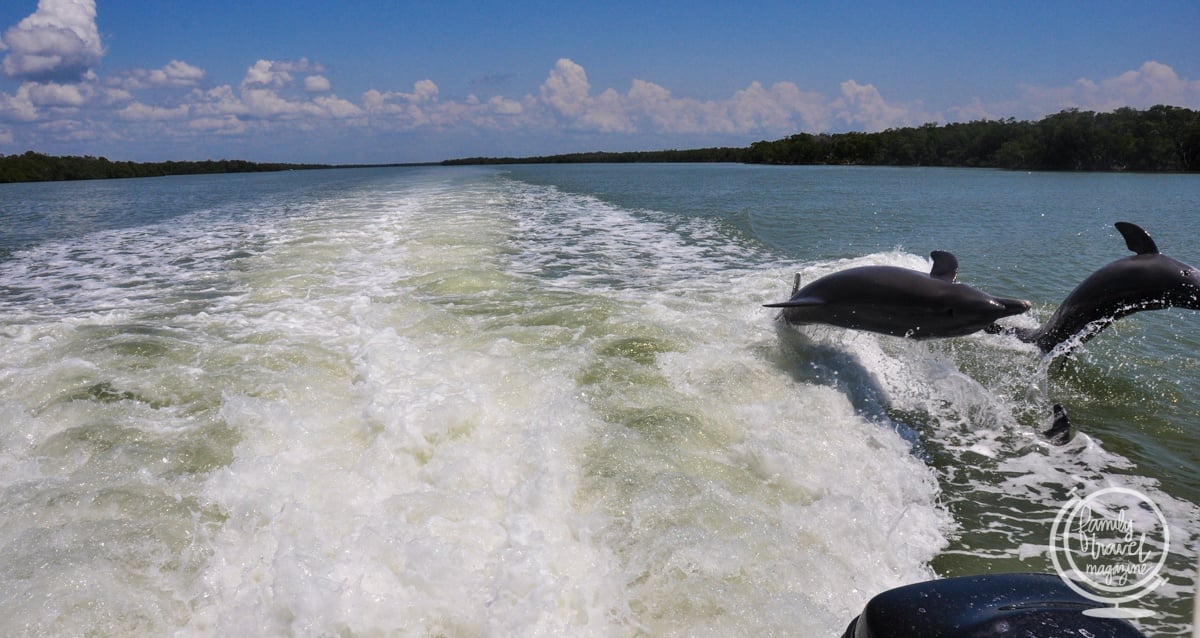 The Dolphin Explorer Eco-Tour on Marco Island