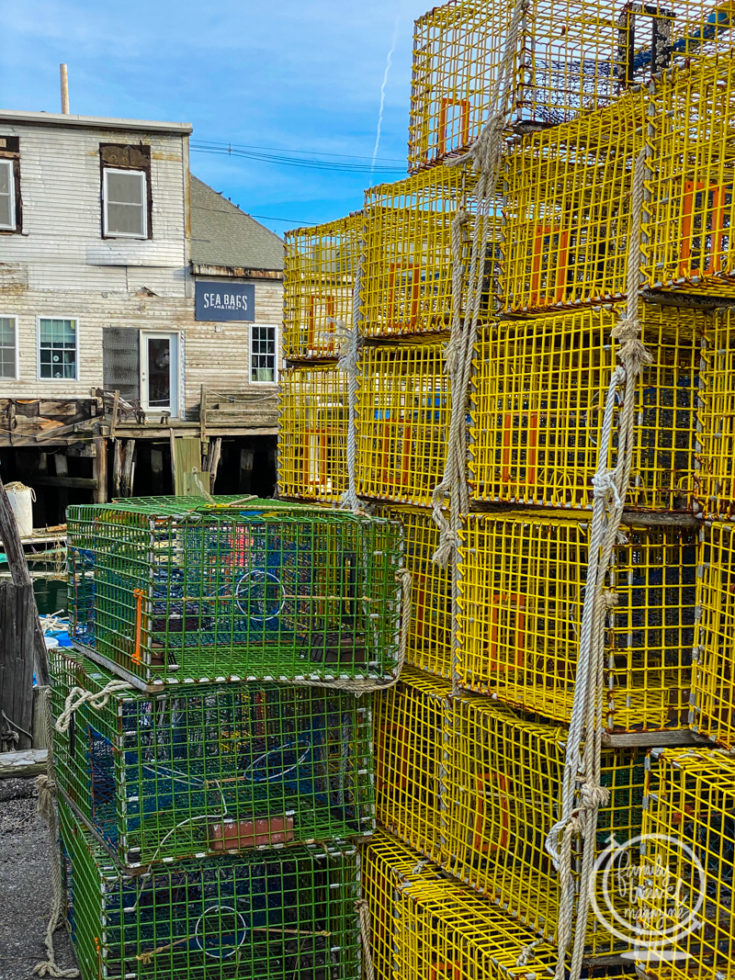 things-to-do-in-san-antonio-with-kids-family-travel-magazine