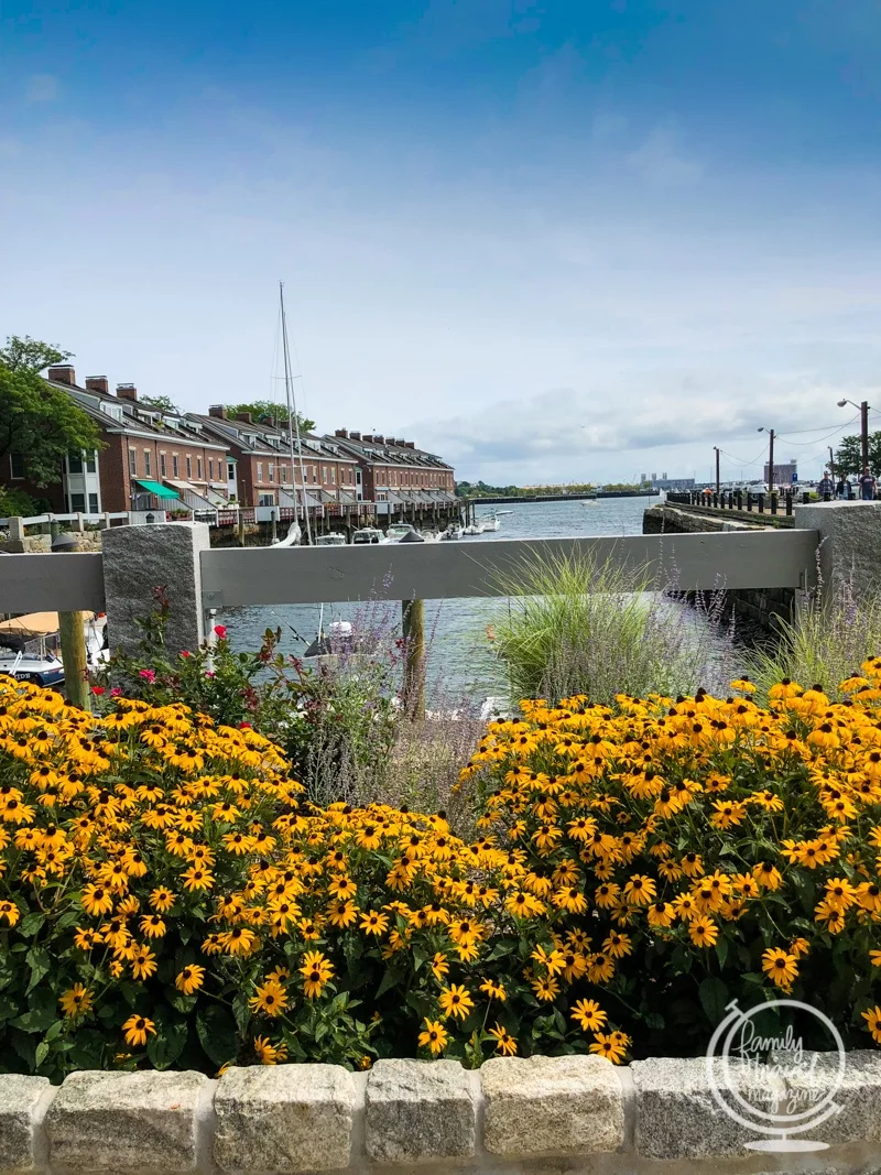 Boston Harbor with flowers