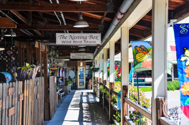 Farmer's Market in Virginia Beach