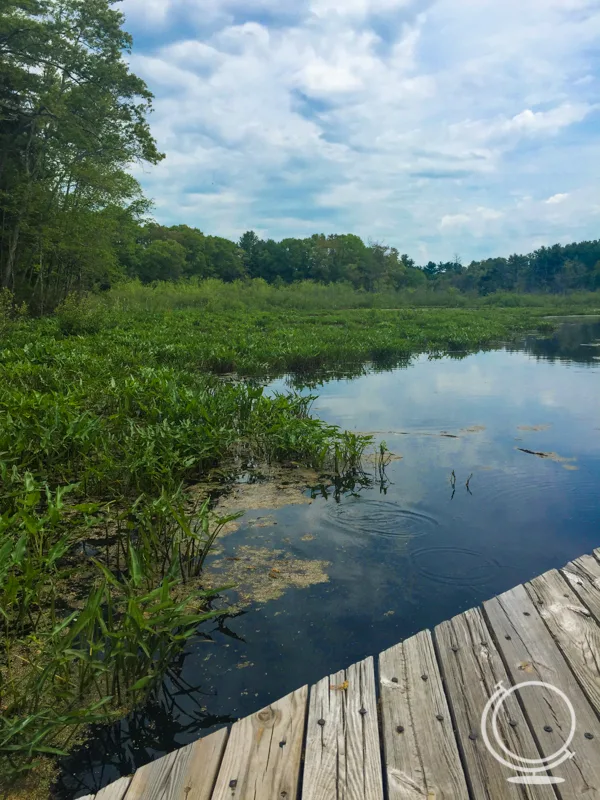 Broadmoor Wildlife Sanctuary