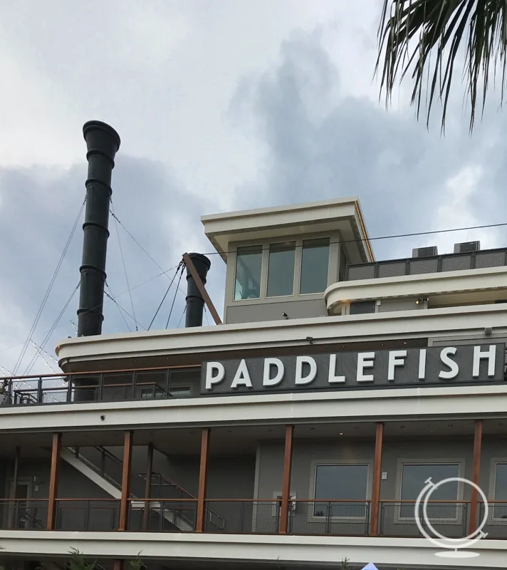 Paddlefish in Disney Springs